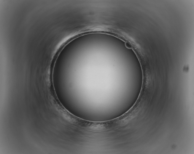 X0000096961174200802151229