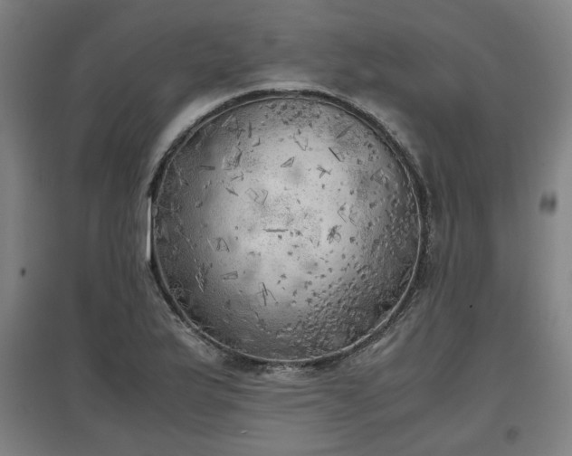 X0000096961175200802151229
