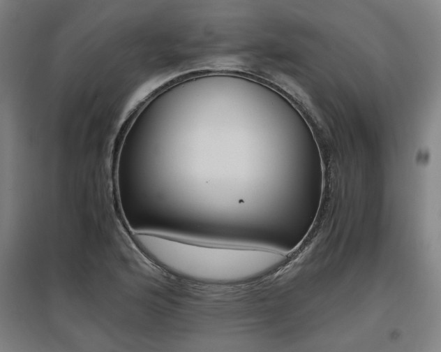 X0000096961176200802151229