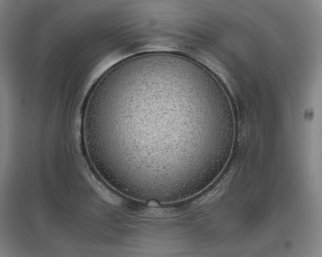 X0000096961179200802151229