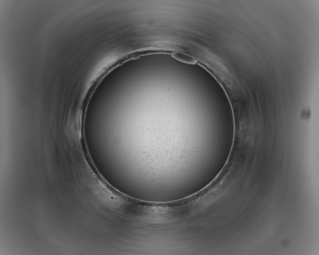 X0000096961180200802151228