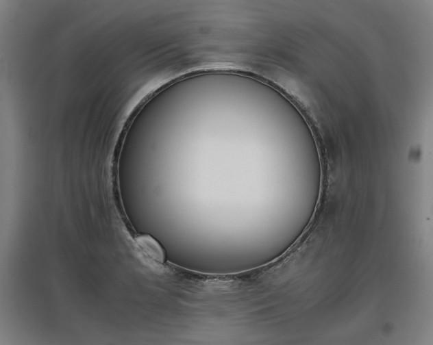 X0000096961181200802151228