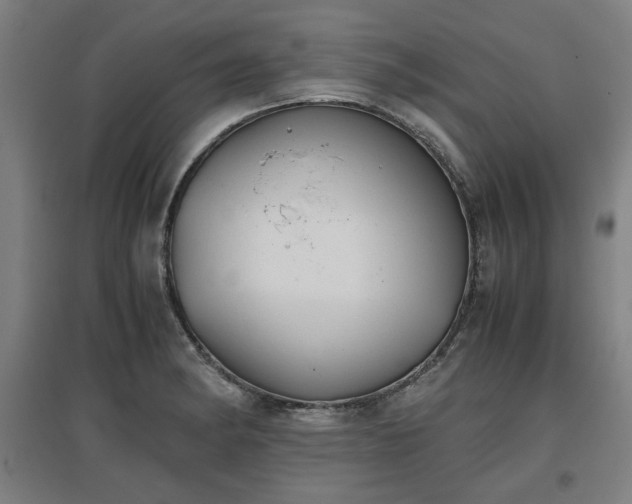 X0000096961182200802151228