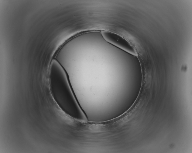 X0000096961184200802151228