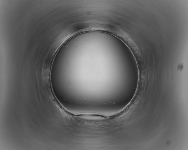 X0000096961185200802151228