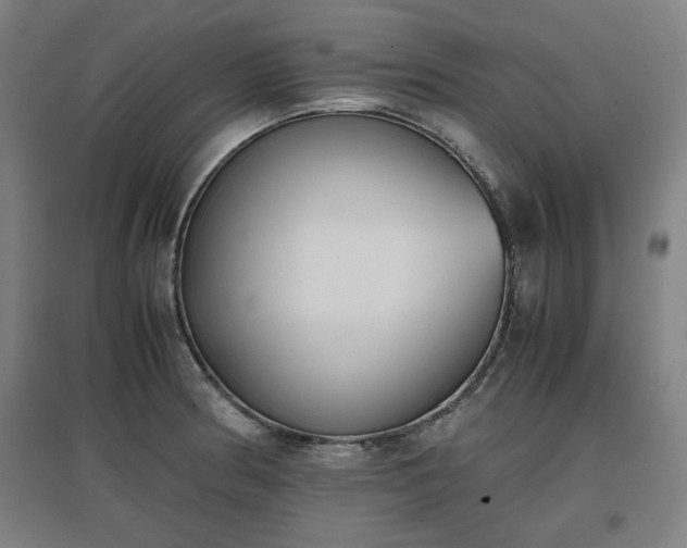 X0000096961186200802151228