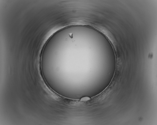 X0000096961187200802151228