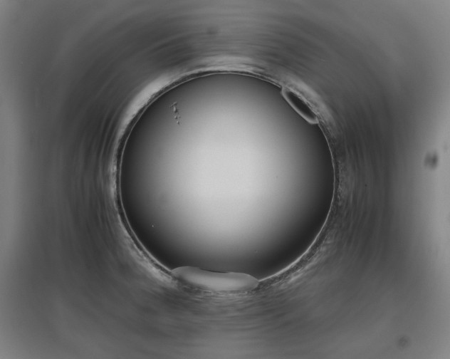 X0000096961188200802151228