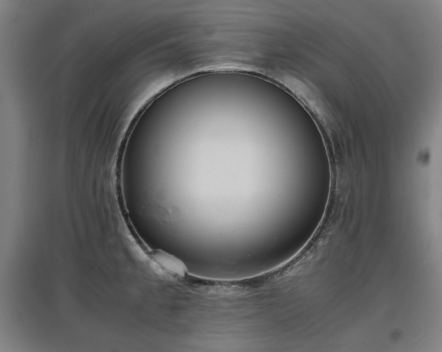 X0000096961189200802151228