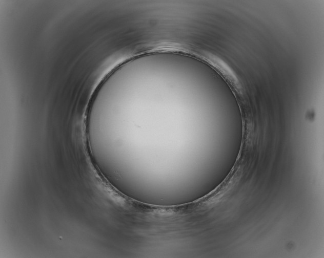 X0000096961190200802151228