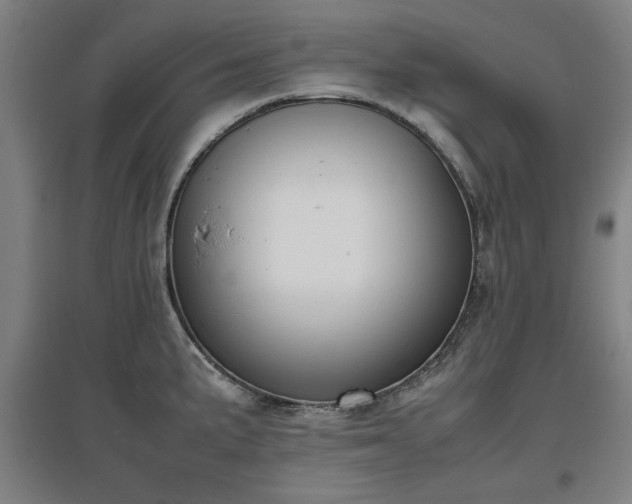 X0000096961191200802151228