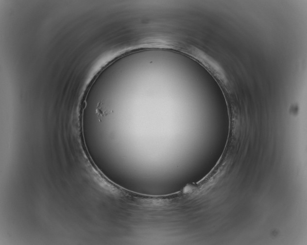 X0000096961192200802151228