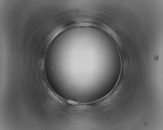 X0000096961193200802151228