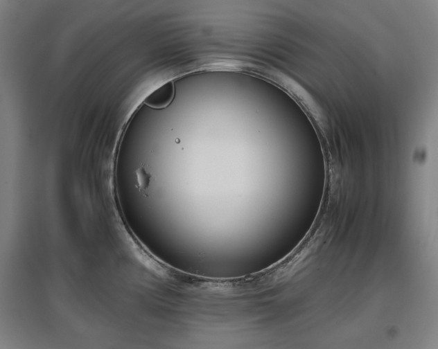 X0000096961194200802151228