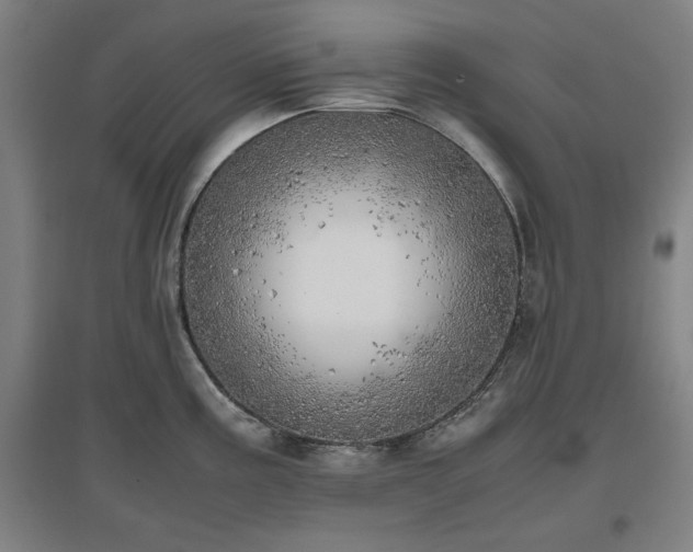 X0000096961195200802151228