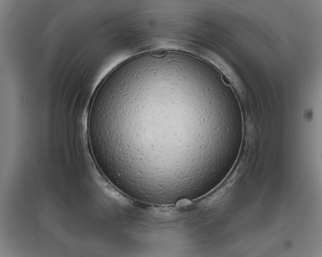 X0000096961198200802151228