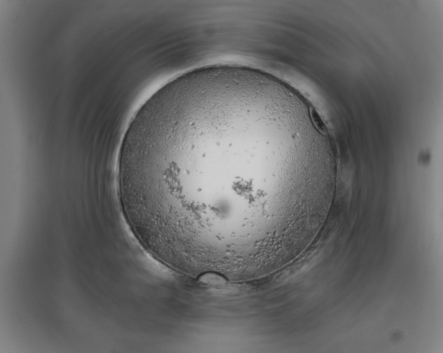 X0000096961199200802151228