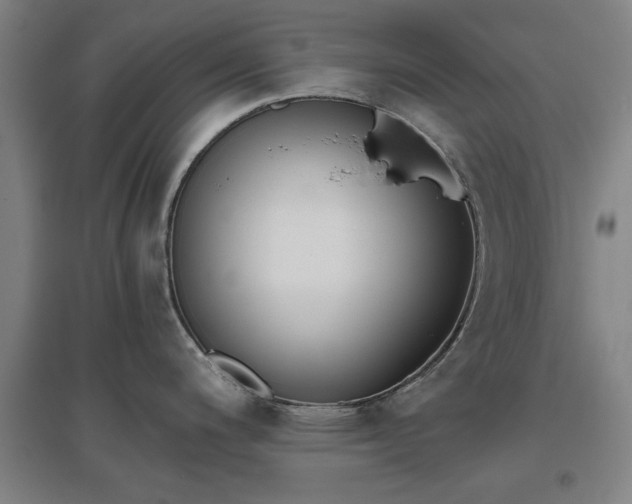 X0000096961200200802151228