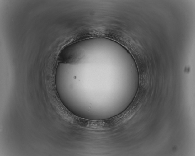 X0000096961201200802151228