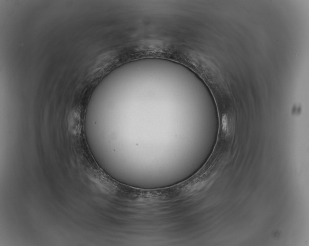 X0000096961203200802151228