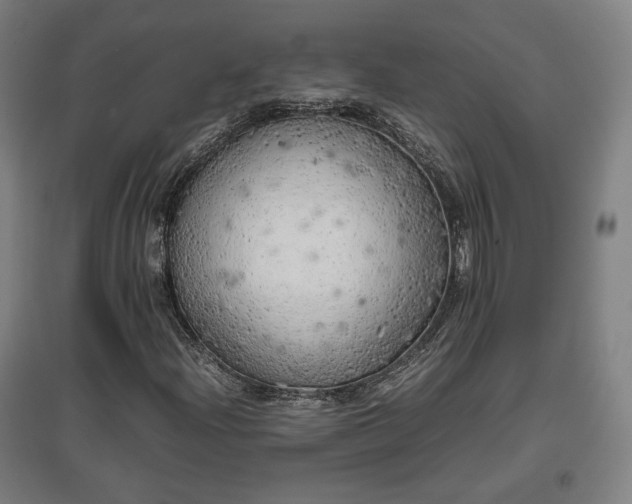 X0000096961204200802151228