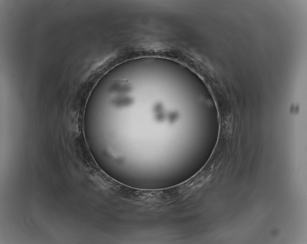 X0000096961205200802151228