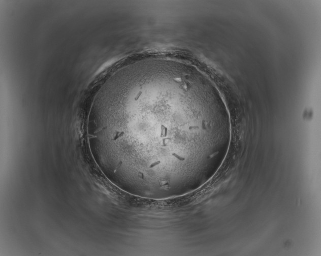 X0000096961206200802151228
