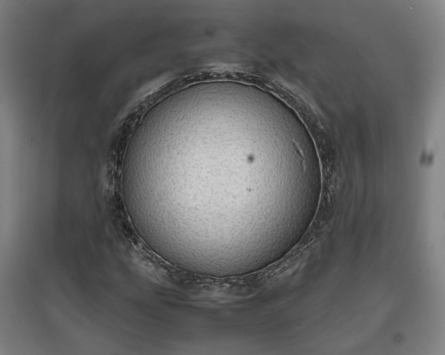 X0000096961207200802151228