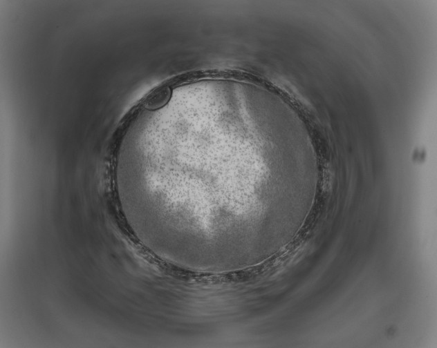 X0000096961208200802151228