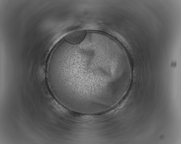 X0000096961212200802151228