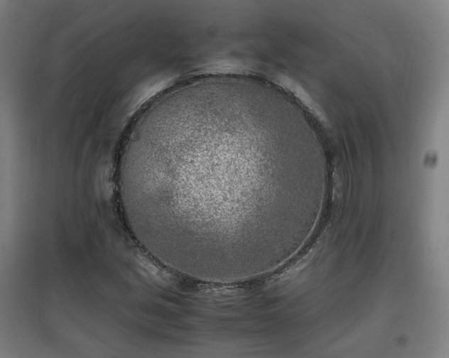 X0000096961213200802151228