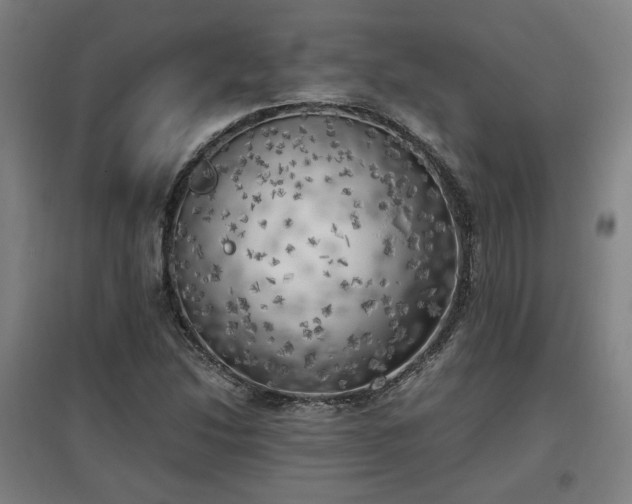 X0000096961214200802151228
