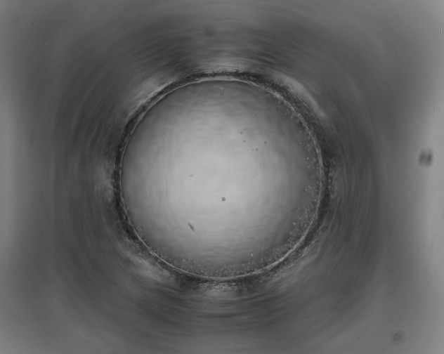 X0000096961217200802151228