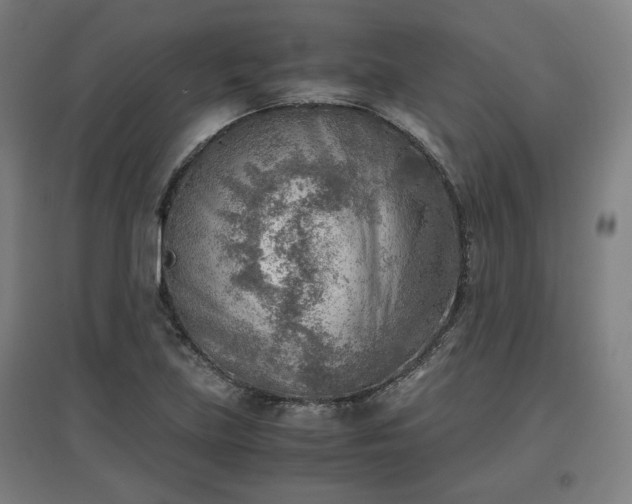 X0000096961219200802151228