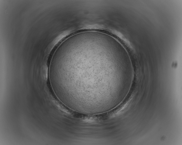 X0000096961221200802151228