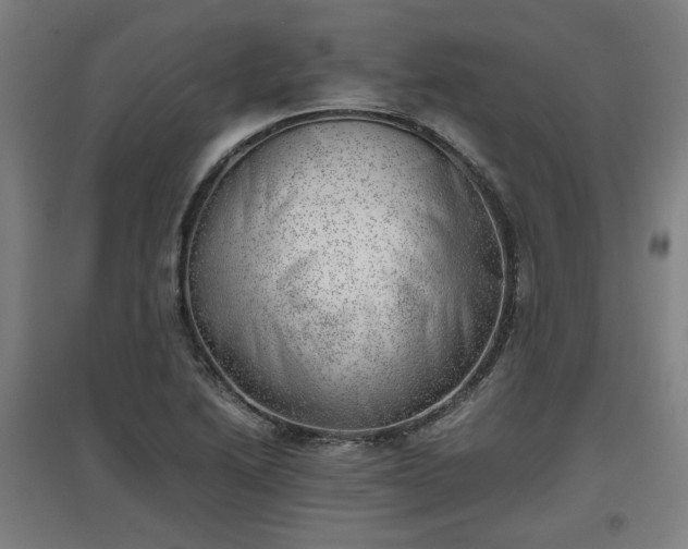 X0000096961222200802151228