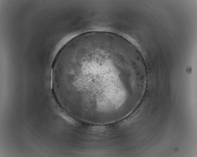 X0000096961223200802151228