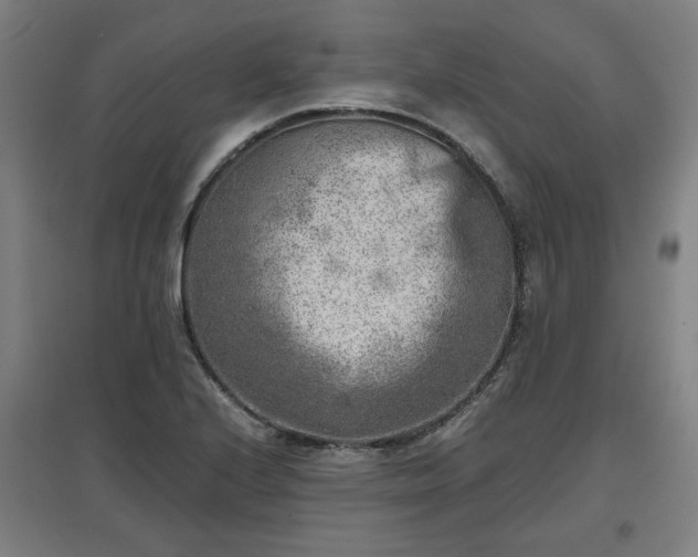 X0000096961224200802151228