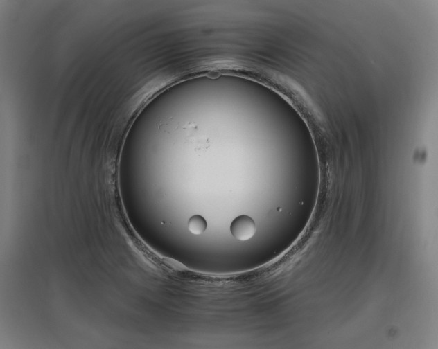 X0000096961225200802151228