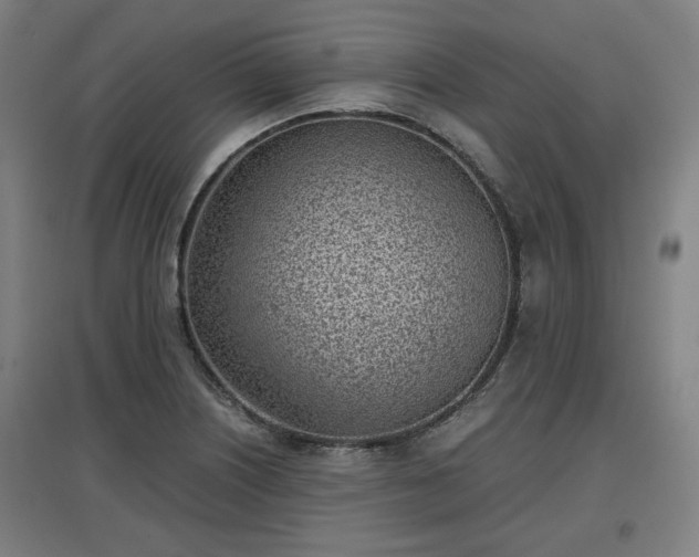 X0000096961226200802151228