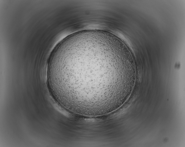 X0000096961227200802151228