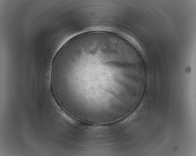 X0000096961228200802151228