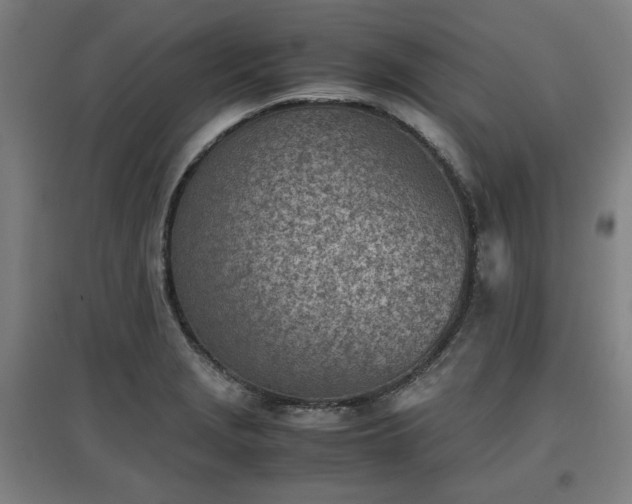 X0000096961229200802151228