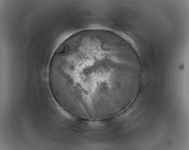 X0000096961231200802151228