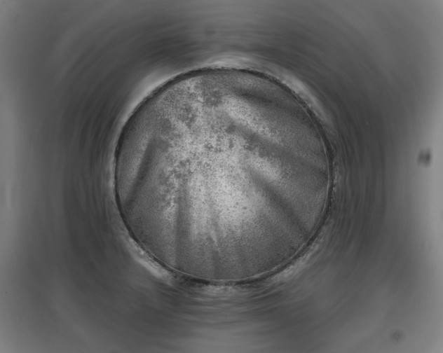 X0000096961232200802151228