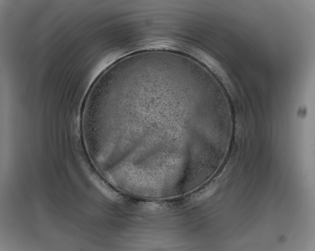 X0000096961234200802151228