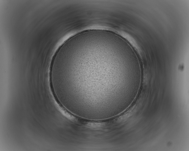 X0000096961237200802151228