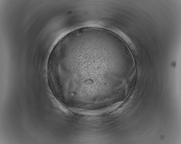 X0000096961240200802151228