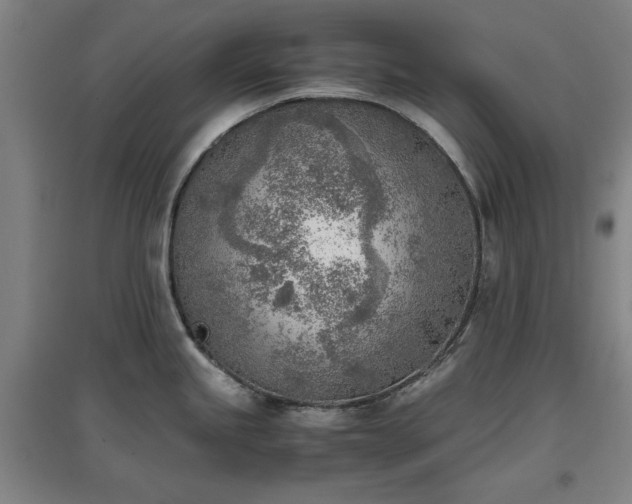 X0000096961245200802151228