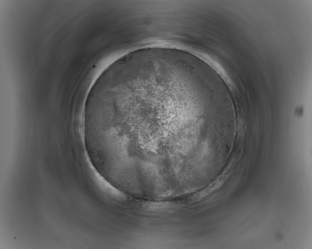 X0000096961247200802151228